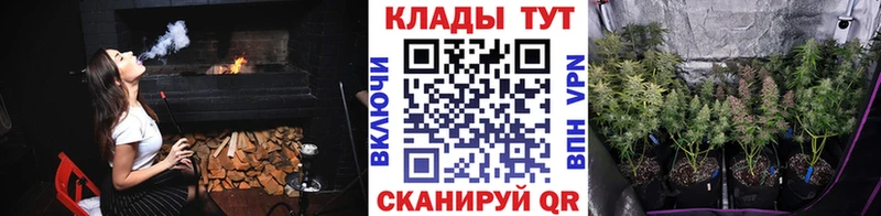 Каннабис Зубцов