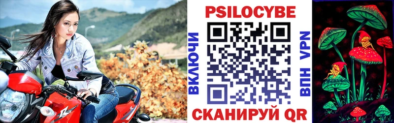 сколько стоит  Зубцов  Псилоцибиновые грибы Magic Shrooms 