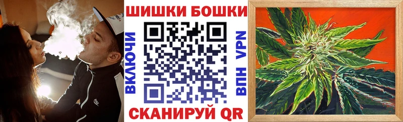 Шишки марихуана план  Зубцов 
